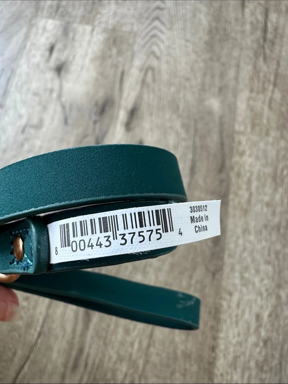 Bond & Co teal dog